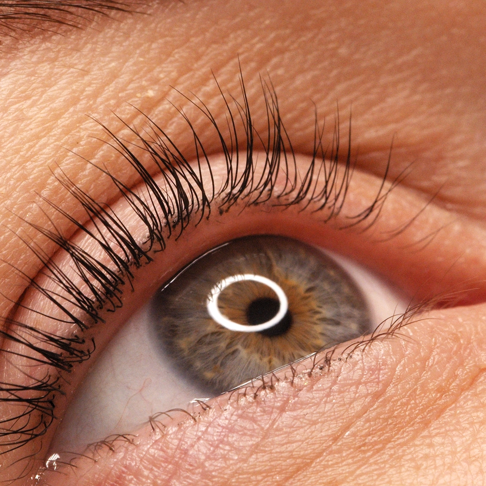 Depilación de cejas inglés